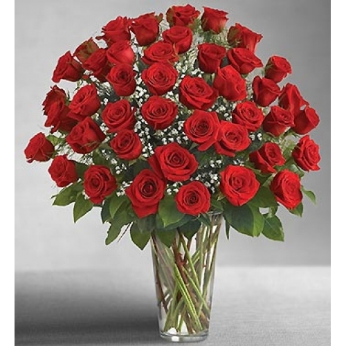 Regretless Love - 48 Stems Vase